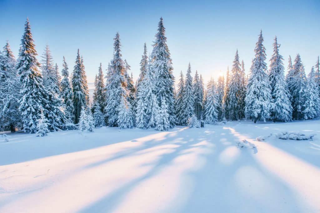 Winterurlaub?