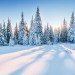Winterurlaub?