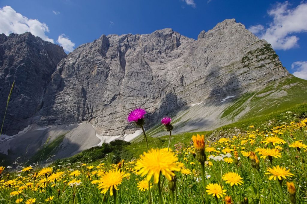 Hochkarspitze