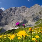 Hochkarspitze