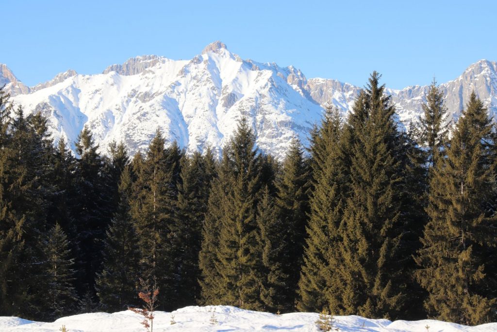 Hochwanner