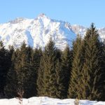 Hochwanner