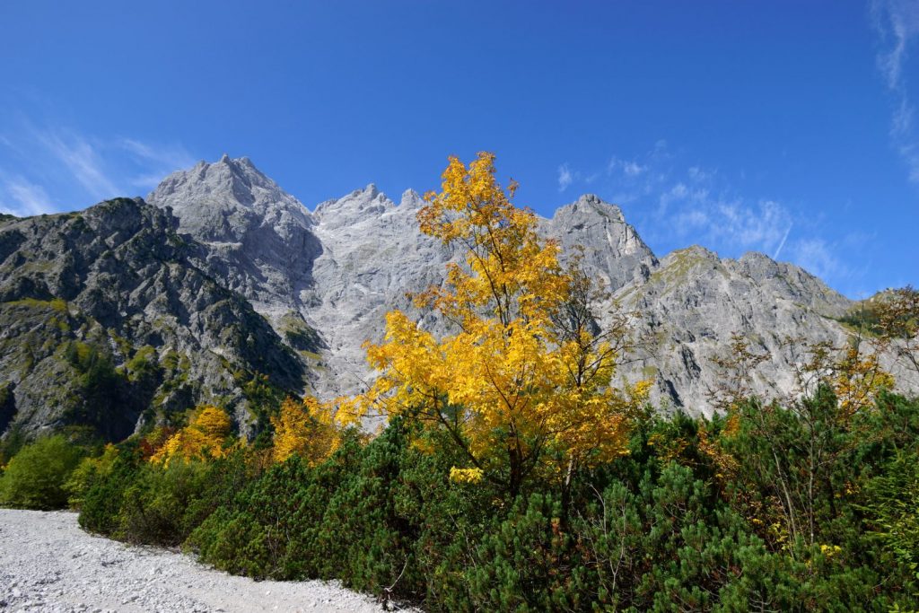 Hochkalter