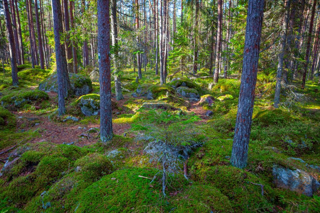 Lahemaa Nationalpark