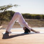 Safari-Yoga