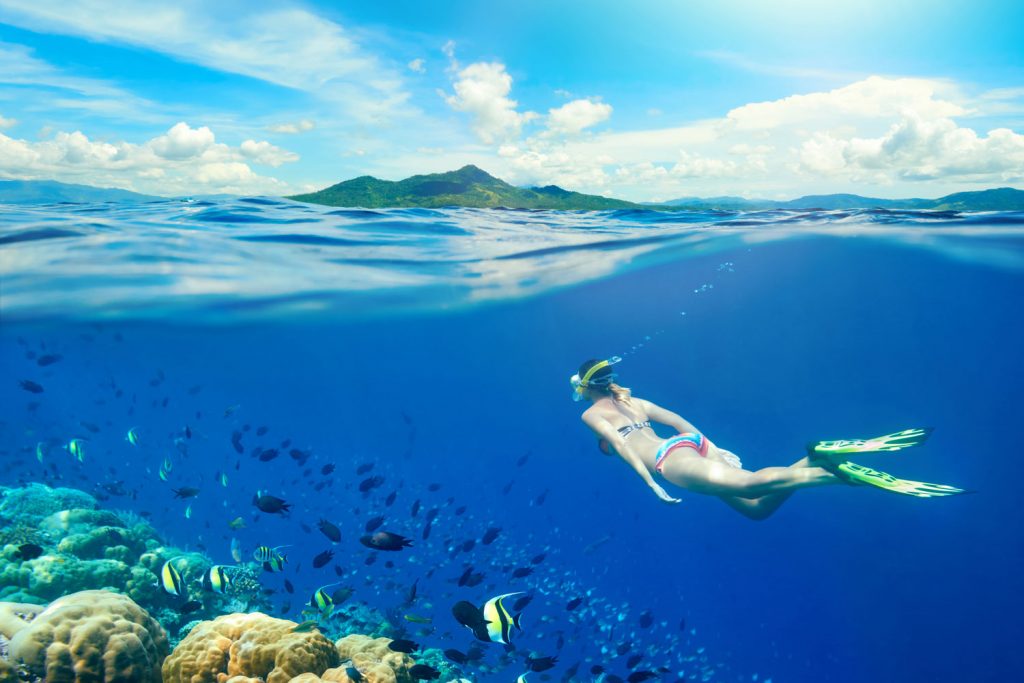 Faszinierende Unterwasserwelt: Das sind die besten Schnorchel-Hotspots