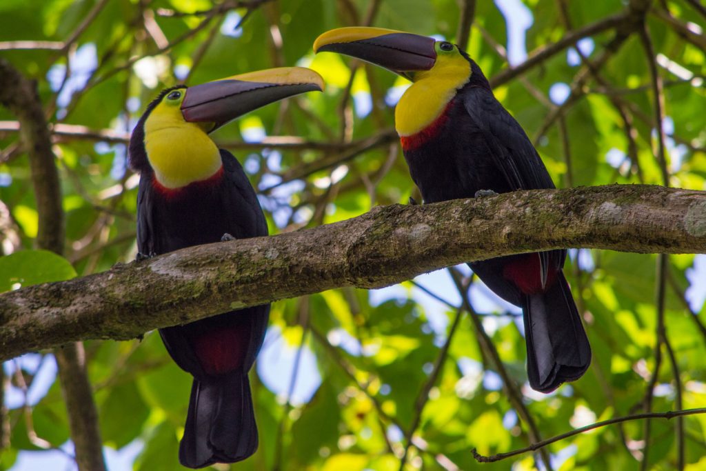 Nicaragua