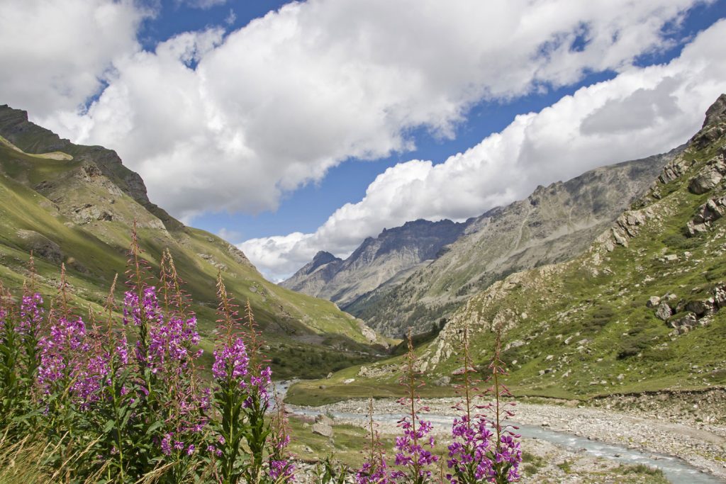 Nationalpark Gran Paradiso