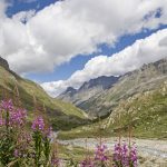 Nationalpark Gran Paradiso