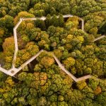 Hoch hinaus: Deutschlands traumhafte Baumwipfelpfade