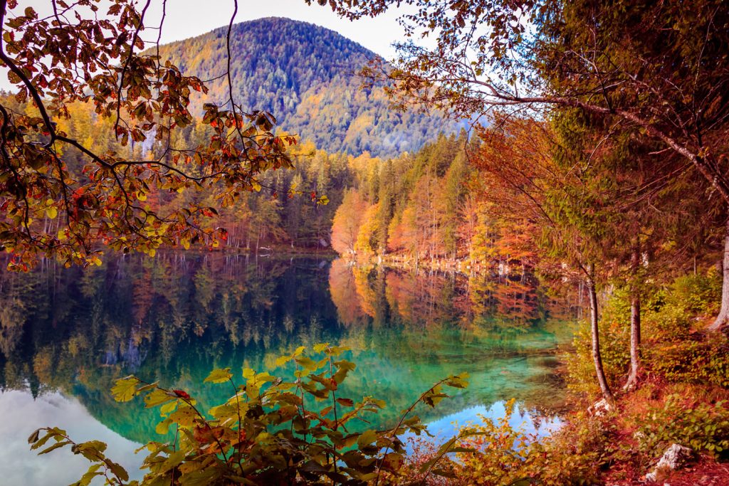 Goldener Herbst – hier ist er am schönsten