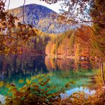 Goldener Herbst – hier ist er am schönsten
