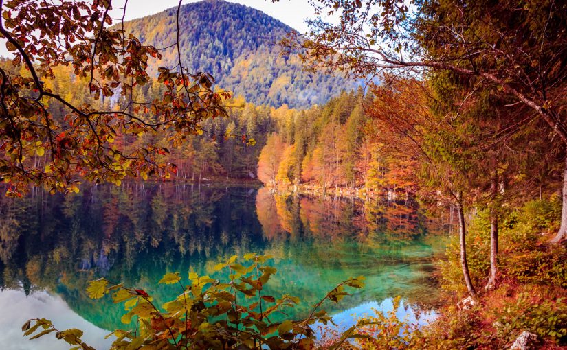 Goldener Herbst – hier ist er am schönsten