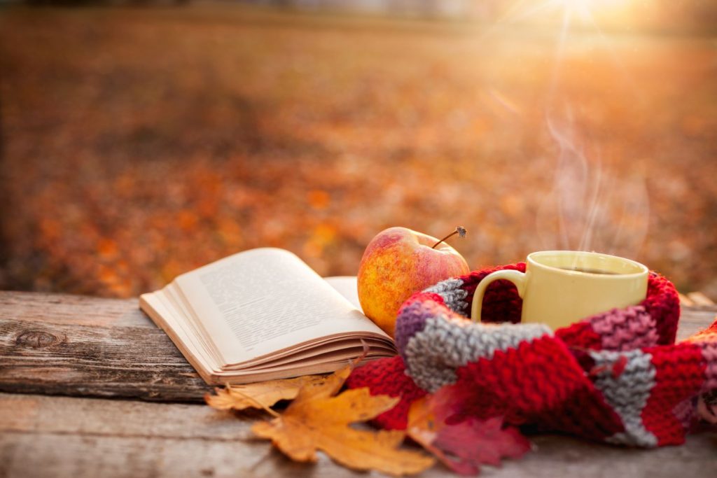 Bücherherbst