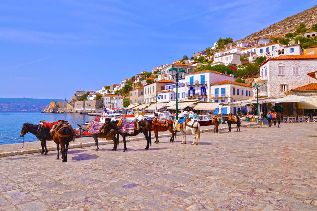 Hydra