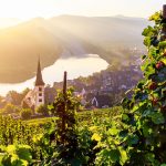 Mosel