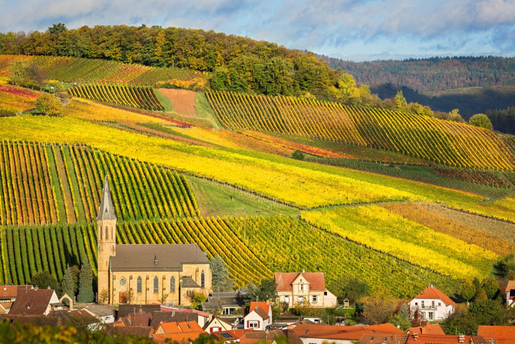 Pfalz