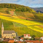 Pfalz