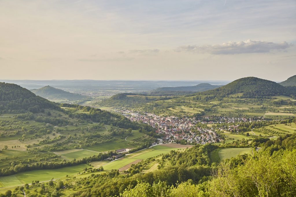 Löwenpfad „Felsenrunde“