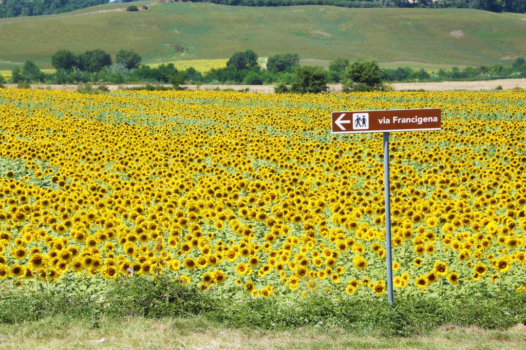 Via Francigena