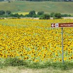 Via Francigena