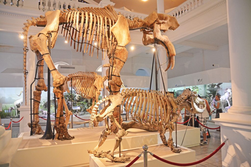Gratis ins Museum