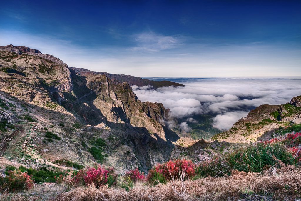 Madeira – das perfekte Winterreiseziel
