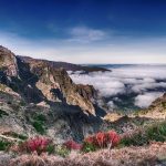 Madeira – das perfekte Winterreiseziel