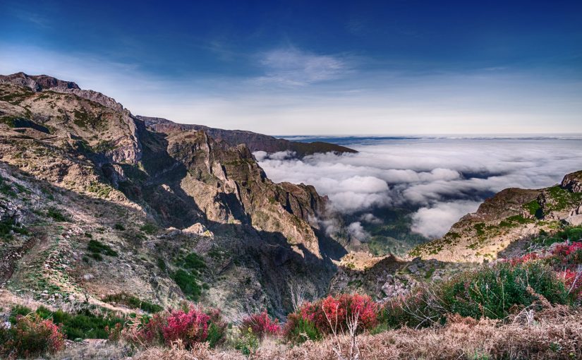 Madeira – das perfekte Winterreiseziel