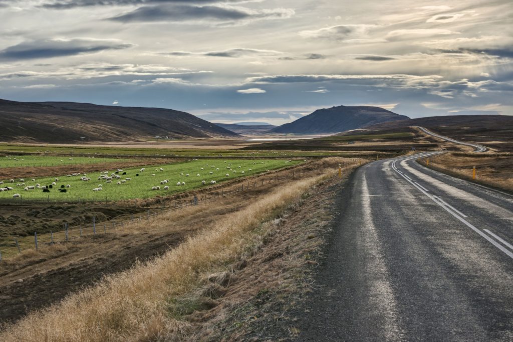 Hringvehur