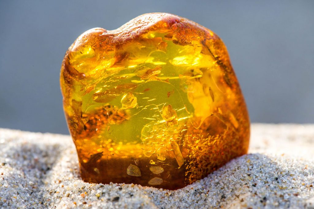 Nordjütland – Bernsteinsuche am Strand