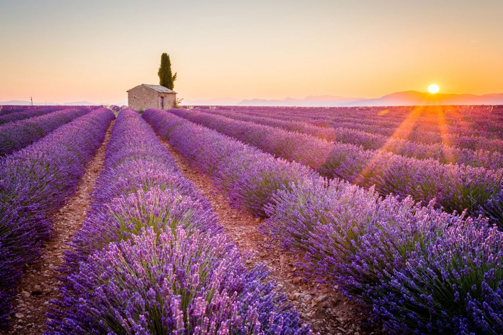 Quer durch die Provence