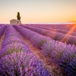 Quer durch die Provence