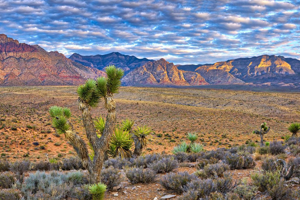 River Mountain Loop Trail