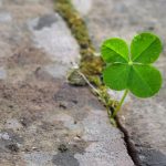 Aberglaube – das müssen Reisende wissen
