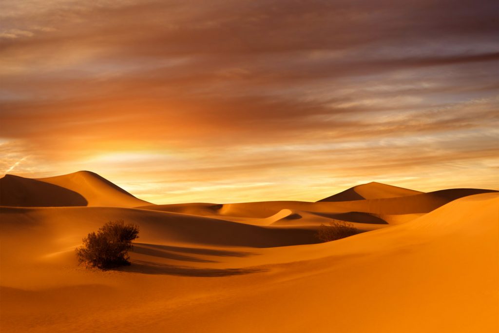 Sahara