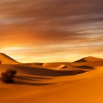 Sahara