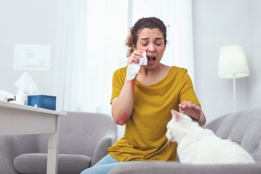 Tierhaarallergie
