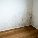 Schimmepilzallergie