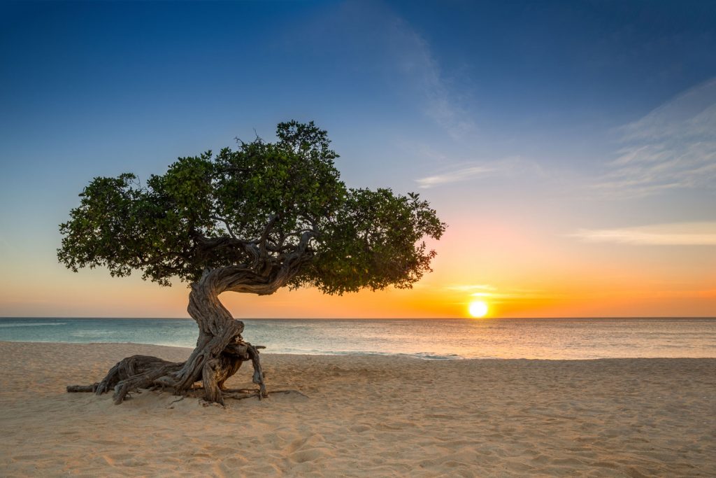 Aruba