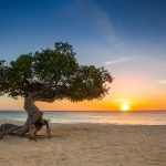 Aruba