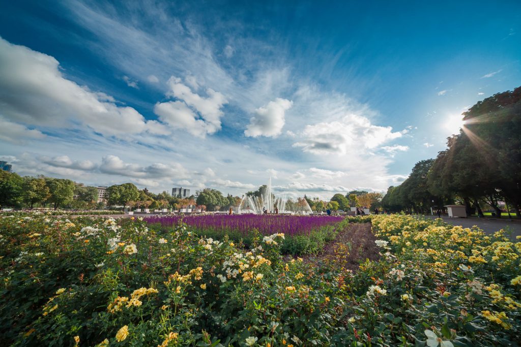 Gorki-Park