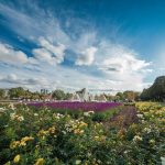Gorki-Park