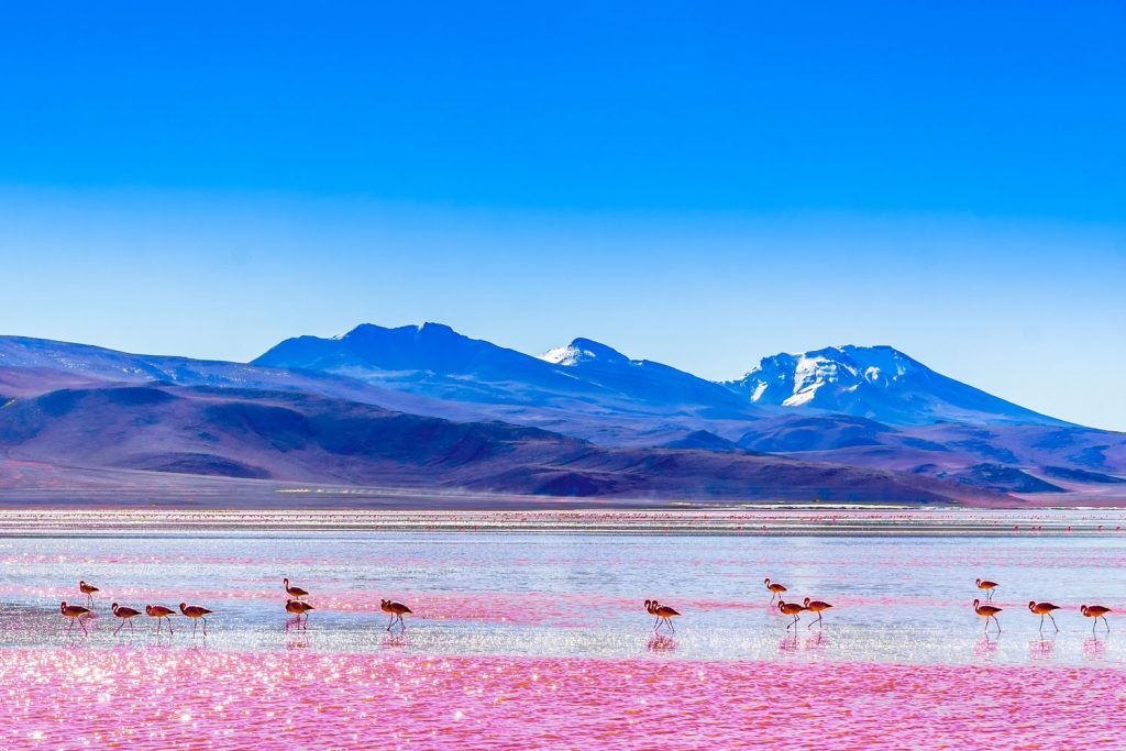 Bolivien
