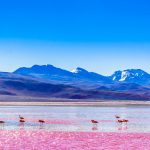 Bolivien