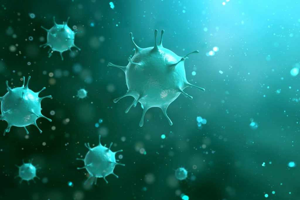 Das Influenza-Virus...