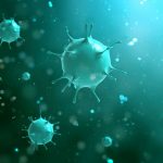 Das Influenza-Virus...