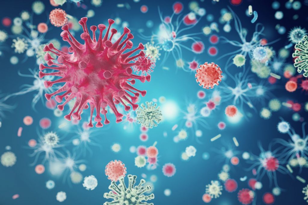 Das Lassa-Virus...