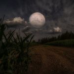 Dan Simmons: Elm Haven