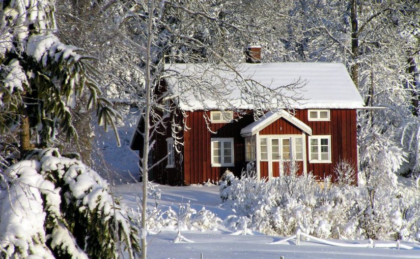 Im Winter bedarf der Garten nicht einer so großen Aufmerksamkeit wie im Frühling oder Herbst. Aus diesem Grund ist die Jahreszeit optimal, um größere Projekte für die Grünoase im kommenden Jahr zu planen.